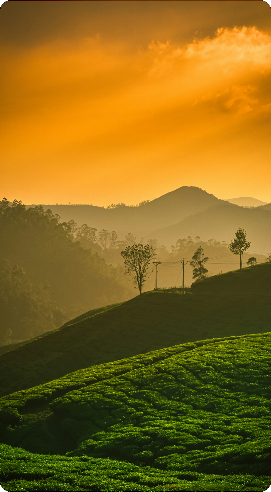 Munnar